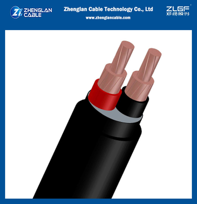 0.6/1KV कम वोल्टेज कॉपर Xlpe इन्सुलेटेडपीवीसी कवर केबल 2Core IEC 60228, IEC 60502-1 (CU/XLPE/PVC) के लिए