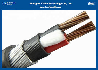 0.6 / 1KV दो कोर निहत्थे XLPE इंसुलेटेड पावर केबल्स (CU / XLPE / LSZH / DSTA) नॉमिनल सेक्शन: 2 * 1.5 ~ 2 * 400mm²